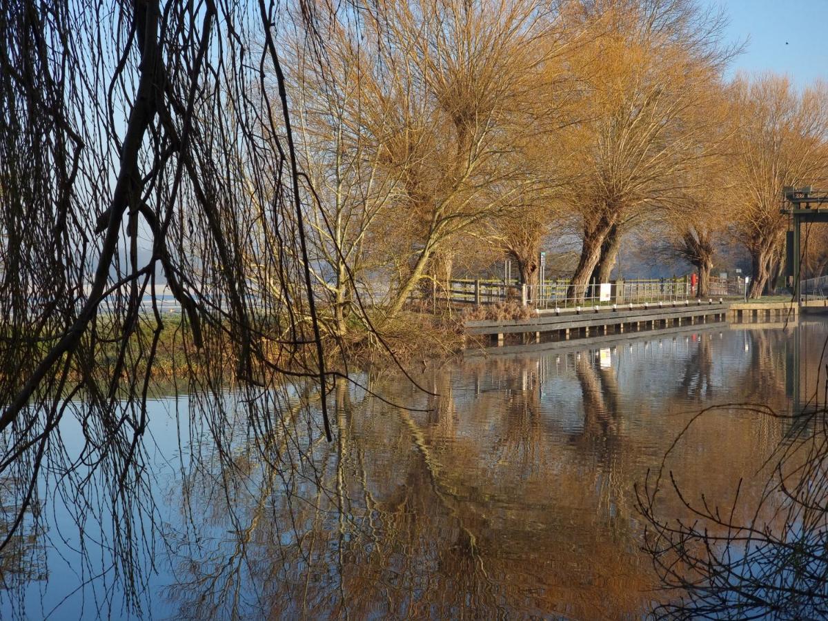 West Farm Cottage Godmanchester Bagian luar foto