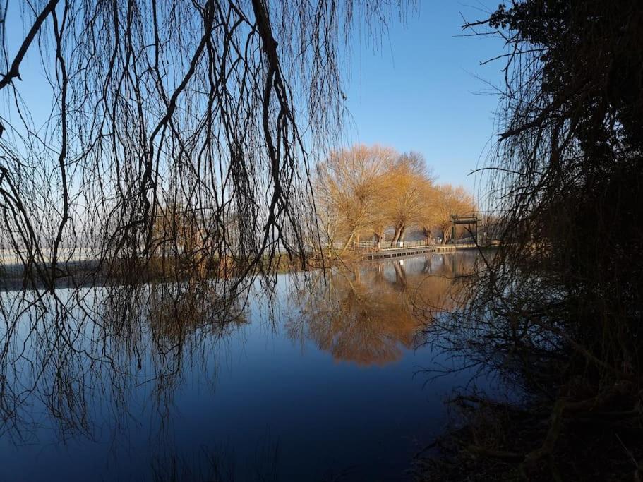 West Farm Cottage Godmanchester Bagian luar foto